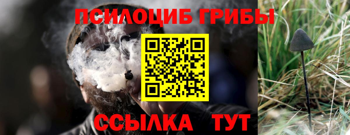 Галлюциногенные грибы Psilocybe  Вход с VPN  Галлюциногенные грибы MAGIC MUSHROOMS  Евпатория 